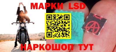 мдпв Новозыбков