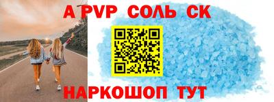 СК Новодвинск