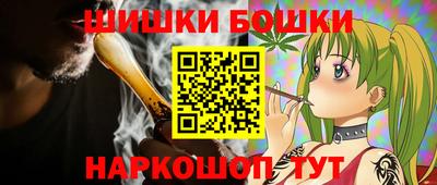 СК Новодвинск