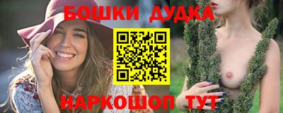 СК Новодвинск