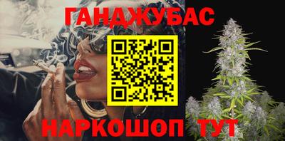 СК Новодвинск
