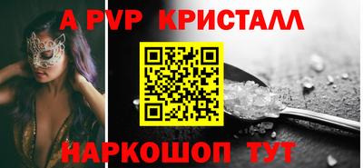 СК Новодвинск