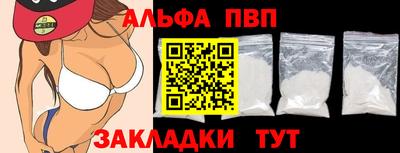 СК Новодвинск