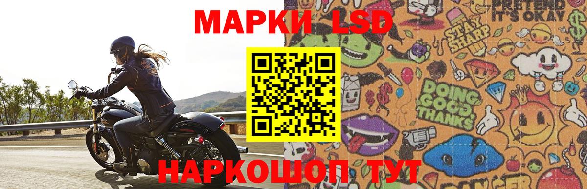 Тамбов  ГАШИШ  Конопля  Кокаин  Меф   Метадон  Вход с VPN  Канабис 