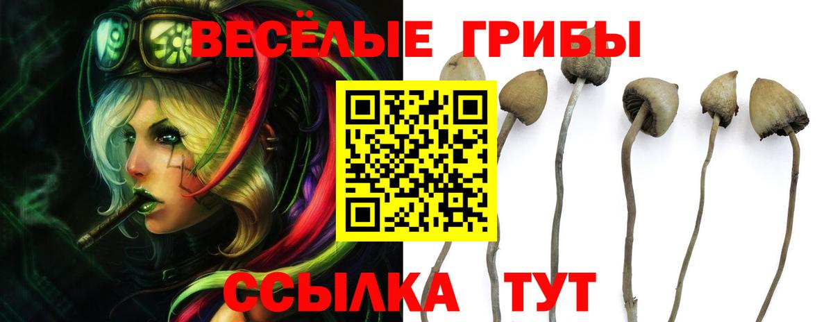 Галлюциногенные грибы ЛСД Тамбов